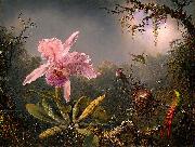 Martin Johnson Heade Cattleya Orchid and Three Brazilian Hummingbirds oil painting
